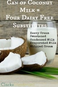 One Ingredient: Four Great Dairy Free Substitutes
