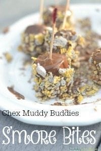 Chex Mix Muddy Buddies S’mores Bites & Indoor Family Activities