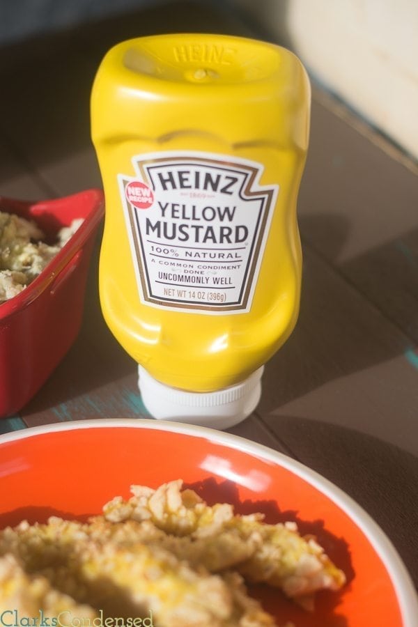 Classic Mustard in a New Squeeze Bottle