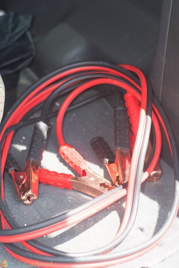 Basic Car Essentials Every Driver Should Have