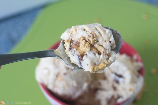 graham-canyon-ice-cream-recipe (8 of 10)