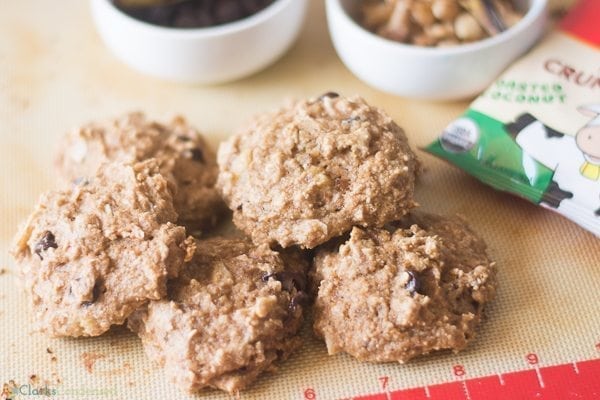 Chocolate applesauce cookies recipe