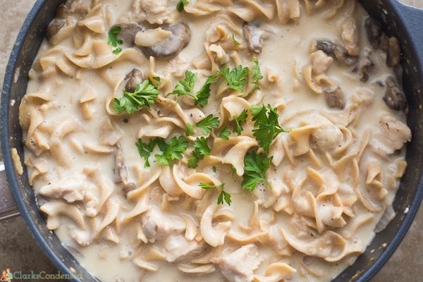 Easy One Pot Chicken Stroganoff Recipe