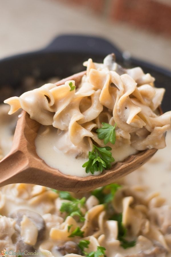 Easy Chicken Stroganoff Recipe