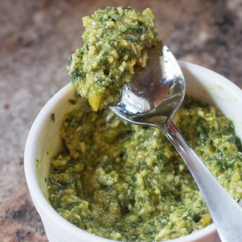 Easy Pesto Sauce Recipe and Hamilton Beach Blender Giveaway