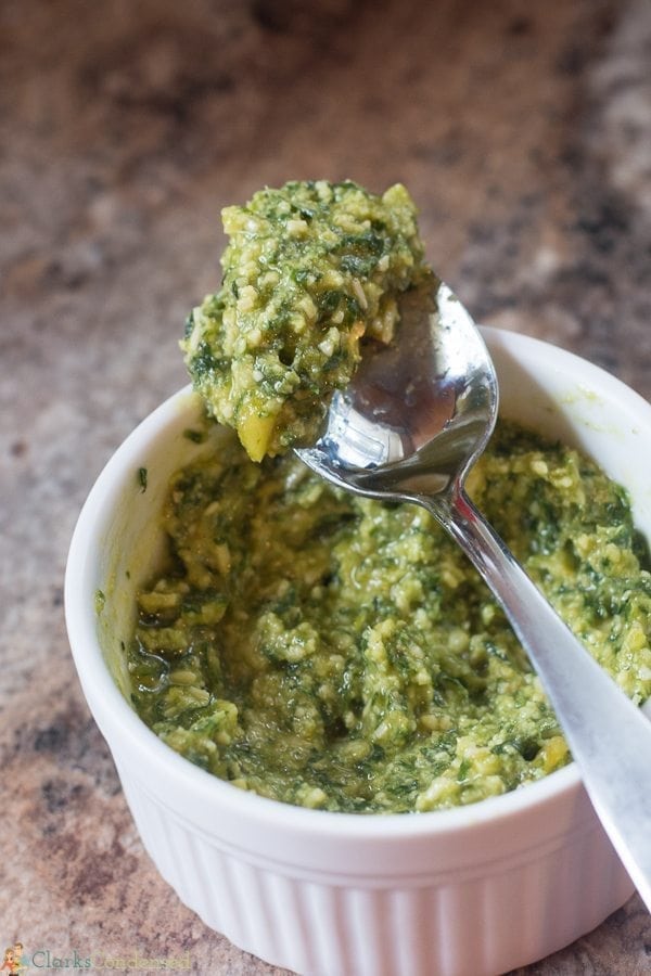 An easy pesto sauce recipe made with fresh basil, parsley, and parmesan. I added a little cayenne to give it an added kick. SO yummy!