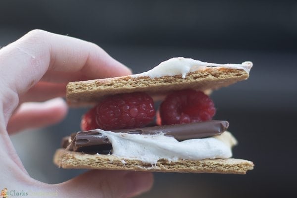 raspberry-smores (6 of 8)