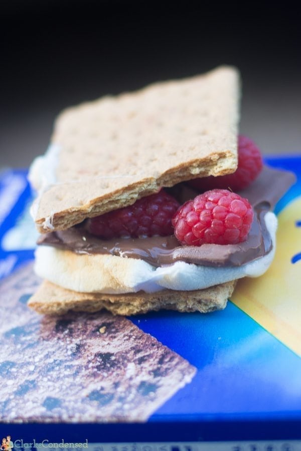 Chocolate raspberry s'mores idea. A fun twist on a traditional s'more!