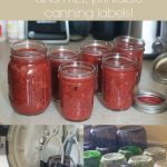 Permalink to: Canning Party Ideas and Free Canning Label Printable