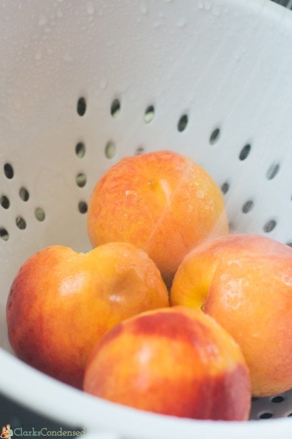 chai-spiced-peaches (1 of 12)