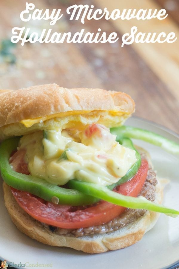 Easy Microwave Hollandaise Sauce