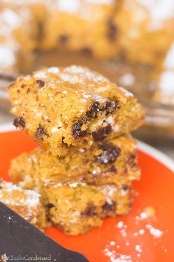 Swirled Cream Cheese Pumpkin Bars with Chocolate Chips