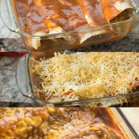 Better-for-You Ground Turkey Enchiladas