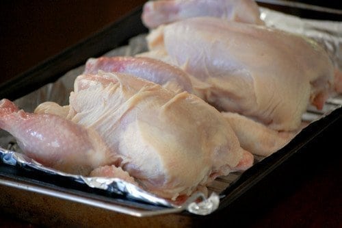 uncooked cornish game hen