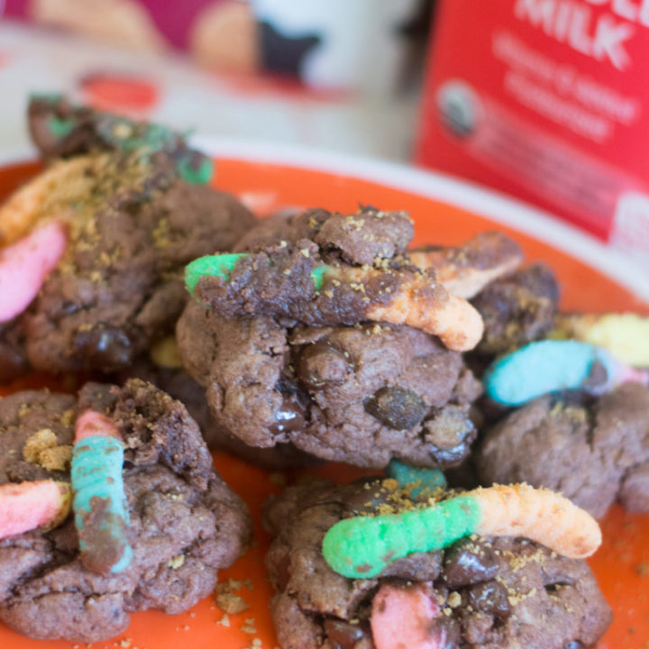 Dirt and Worm Pudding Cookies