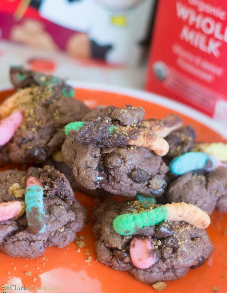 dirt-and-worm-pudding-cookies (1 of 4)