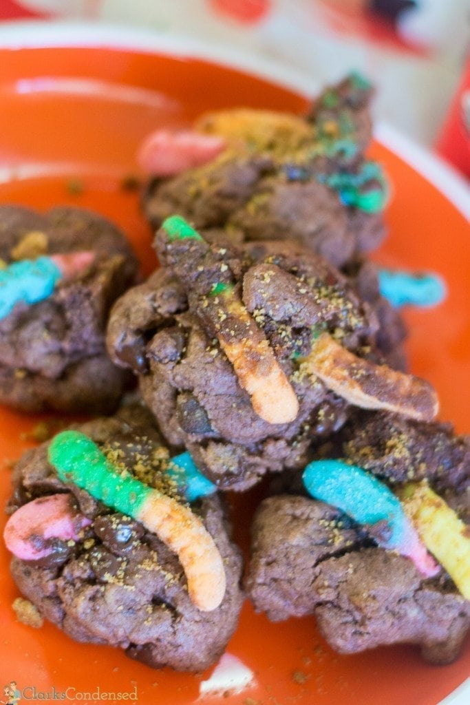 dirt-and-worm-pudding-cookies (2 of 4)