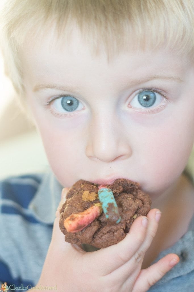 dirt-and-worm-pudding-cookies (3 of 4)