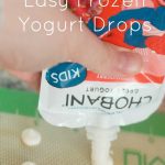 Permalink to: Easy Yogurt Drops