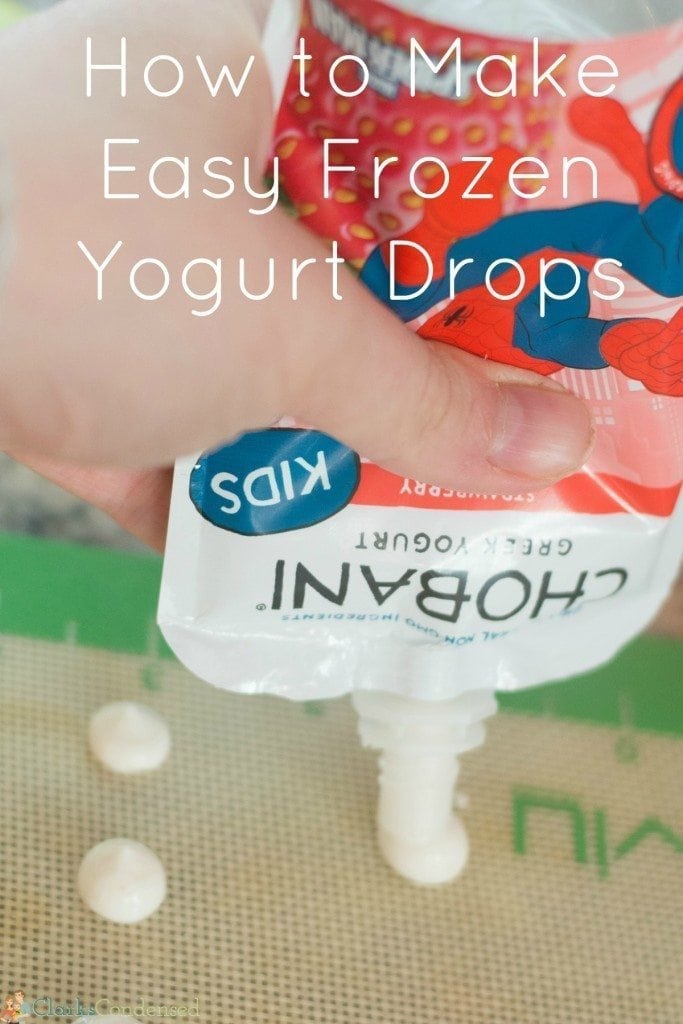 These easy frozen yogurt drops are perfect for a healthy snack!