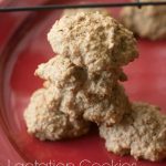 Permalink to: Breast Cancer Risk Factors and Lactation Cookie Recipe