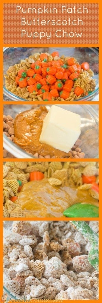This pumpkin patch puppy chow is made with cookie butter, pumpkin candies, butterscotch chips, and Crispix cereal. It's the perfect fall-time treat!