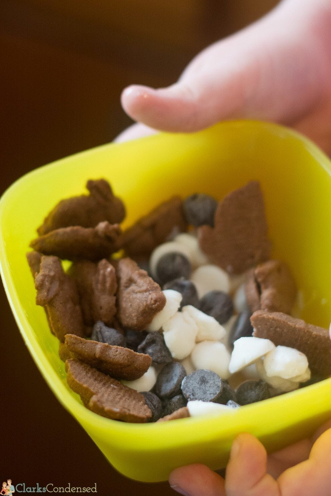 Easy Frozen Yogurt Drops