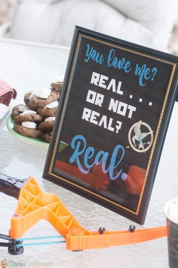 hunger games party ideas (3 of 16)