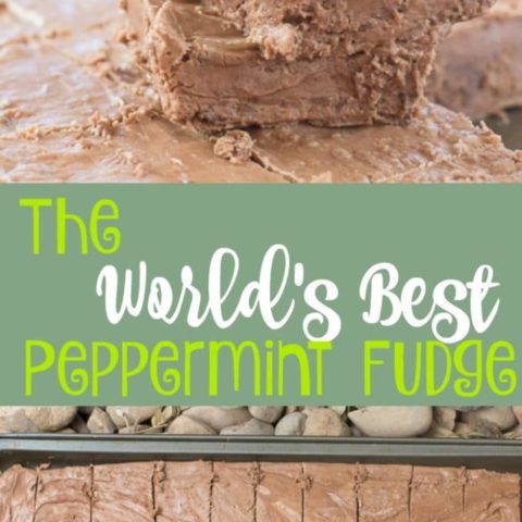 The World's Best Peppermint Fudge Recipe