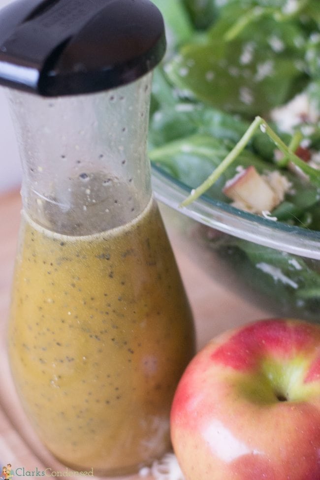 Bacon and Swiss Apple Salad with Honey Cider Dressing