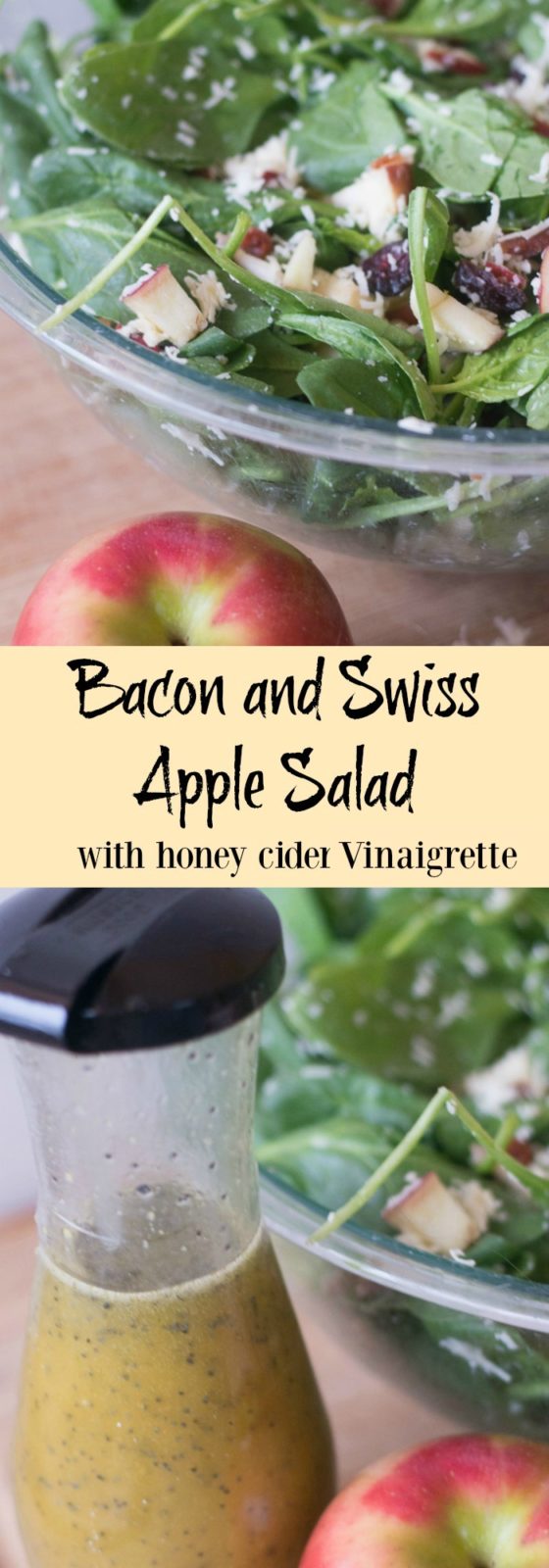 This was a HUGE hit when I brought it to a party - a bacon and swiss apple cider with a tangy honey cider vinaigrette. So tasty!