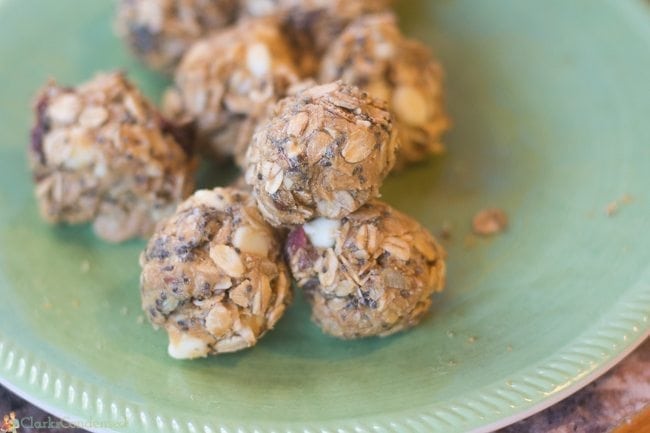 No Bake Lactation Power Protein Balls