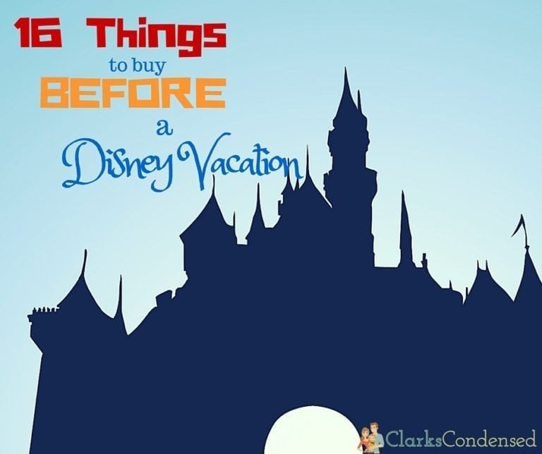 Things to Buy BEFORE You Go to Disney