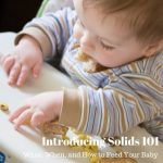 Permalink to: Introducing Solids 101: How, When, and What