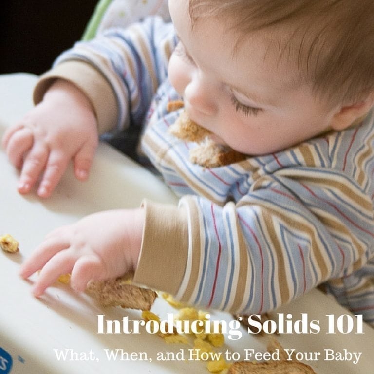 Introducing Solids 101 (2)