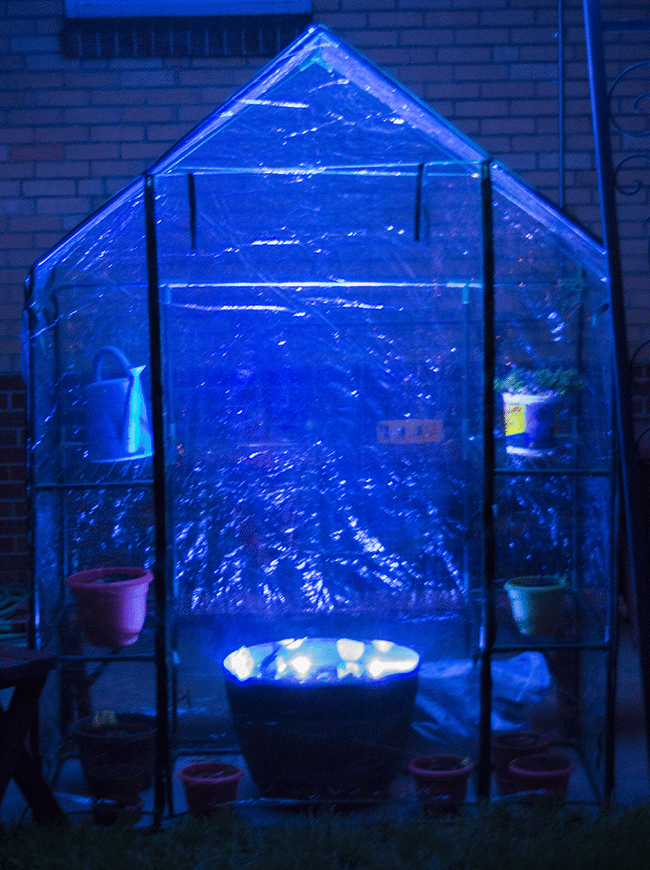 3 Simple Steps to Upgrade Your Greenhouse (and Giveaway)