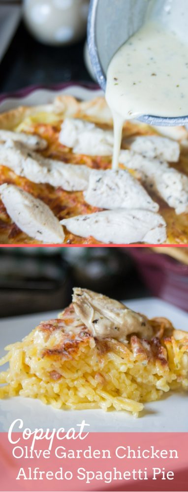 A delicious copycat Olive garden spaghetti pie featuring grilled chicken and alfredo sauce!