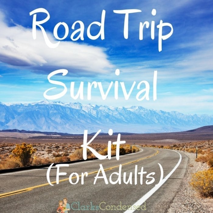 Road Trip Survival Kit