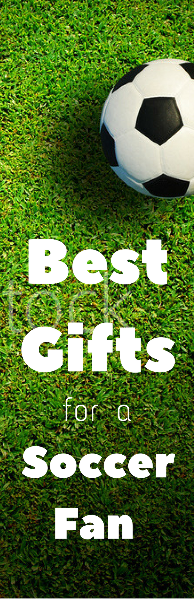 A close up of a garden best gifts banner