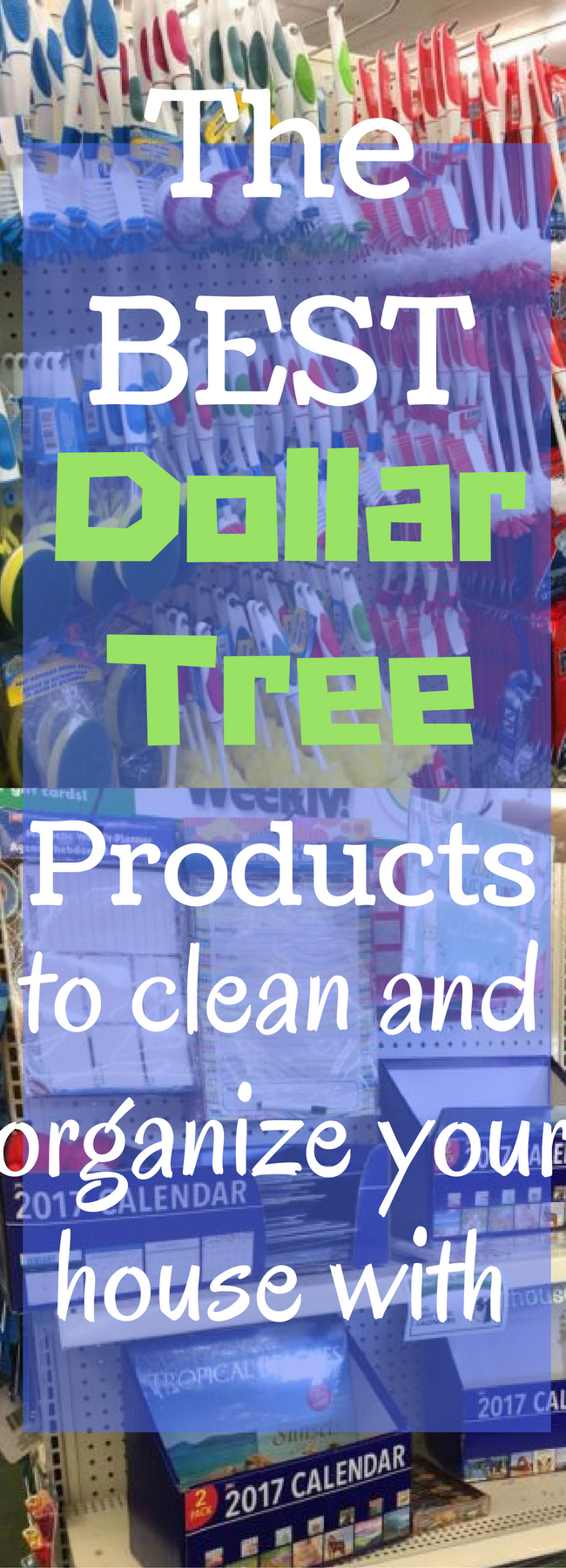 https://www.clarkscondensed.com/thrifty-living/best-dollar-tree-cleaning-organization-supplies/