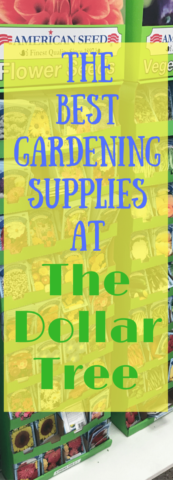 The Best Gardening Supplies from the Dollar Tree 2024 Clarks Condensed