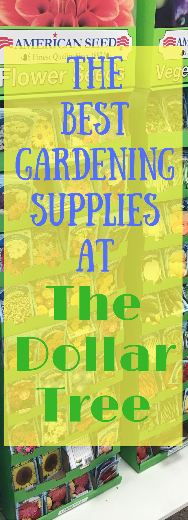 Dollar Tree / Dollar Tree Gardening / Gardening / Gardening Supplies / garden ideas / gardening tips / garden for beginners / dollar tree tips / dollar store deals / dollar tree deals / dollar tree finds