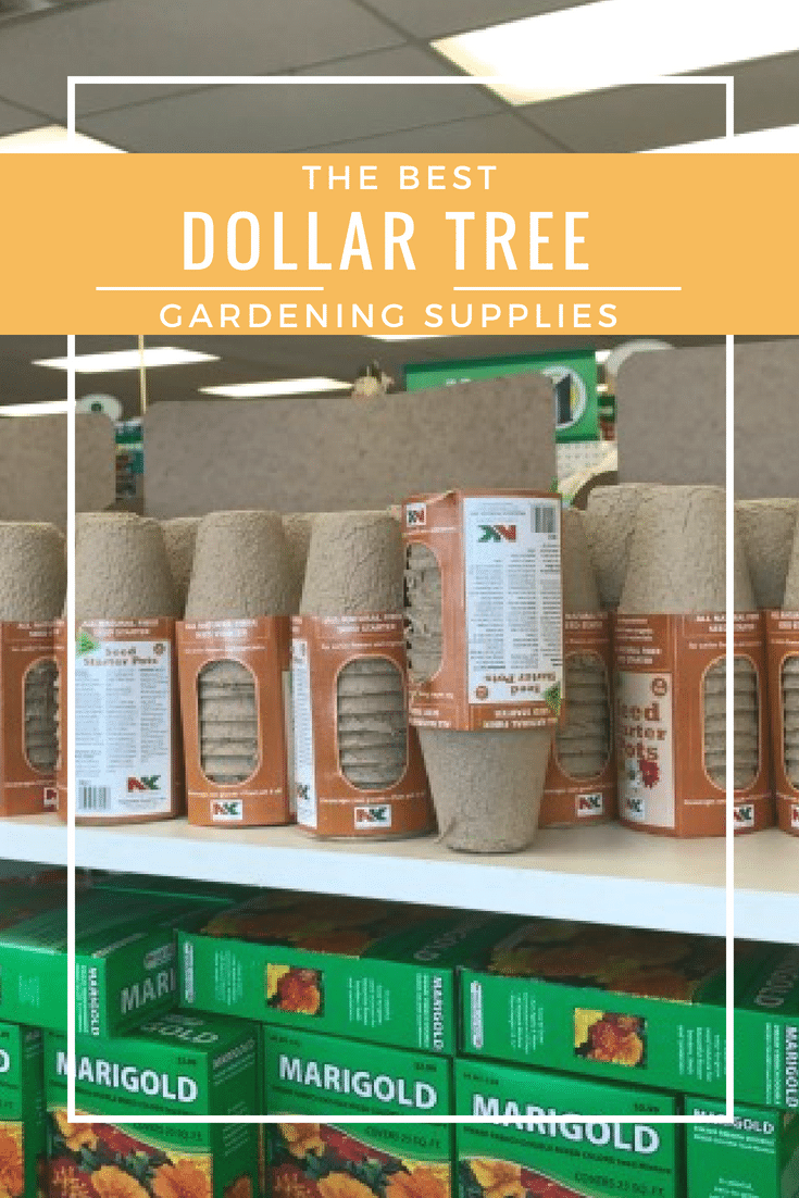 Dollar Store Gardening