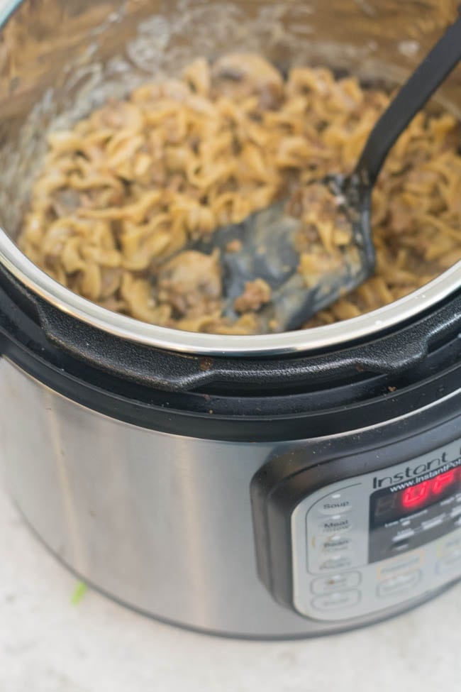 A pan filled with food, with Beef Stroganoff and Experiment