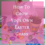 Permalink to: How to Grow Your Own Easter Grass