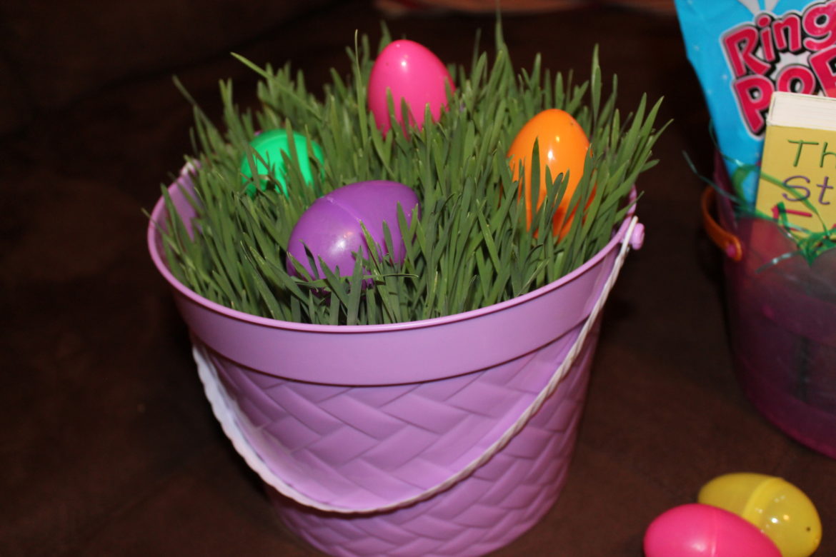 Easter Traditions: How to Grow Easter Basket Grass