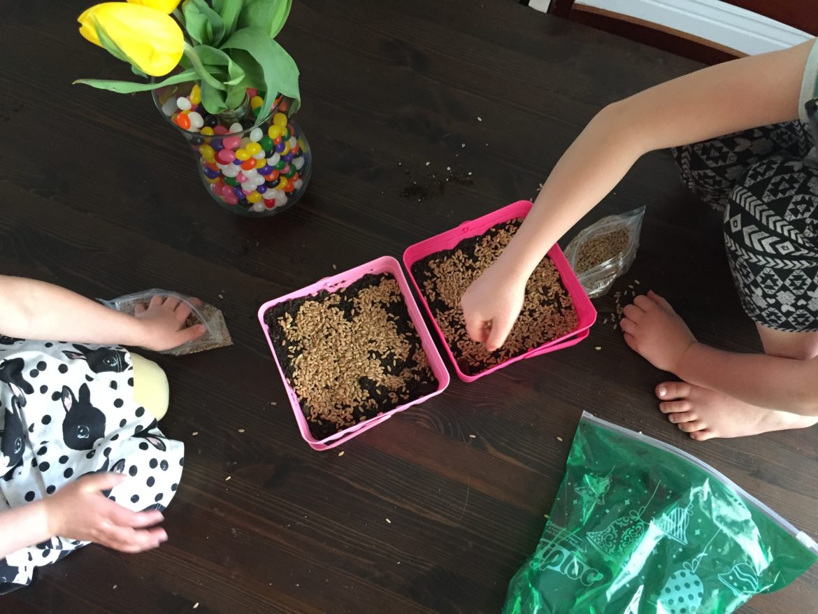 Children growing grass in DIY Easter baskets