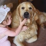 Permalink to: 10 Ways to Raise A Compassionate Child