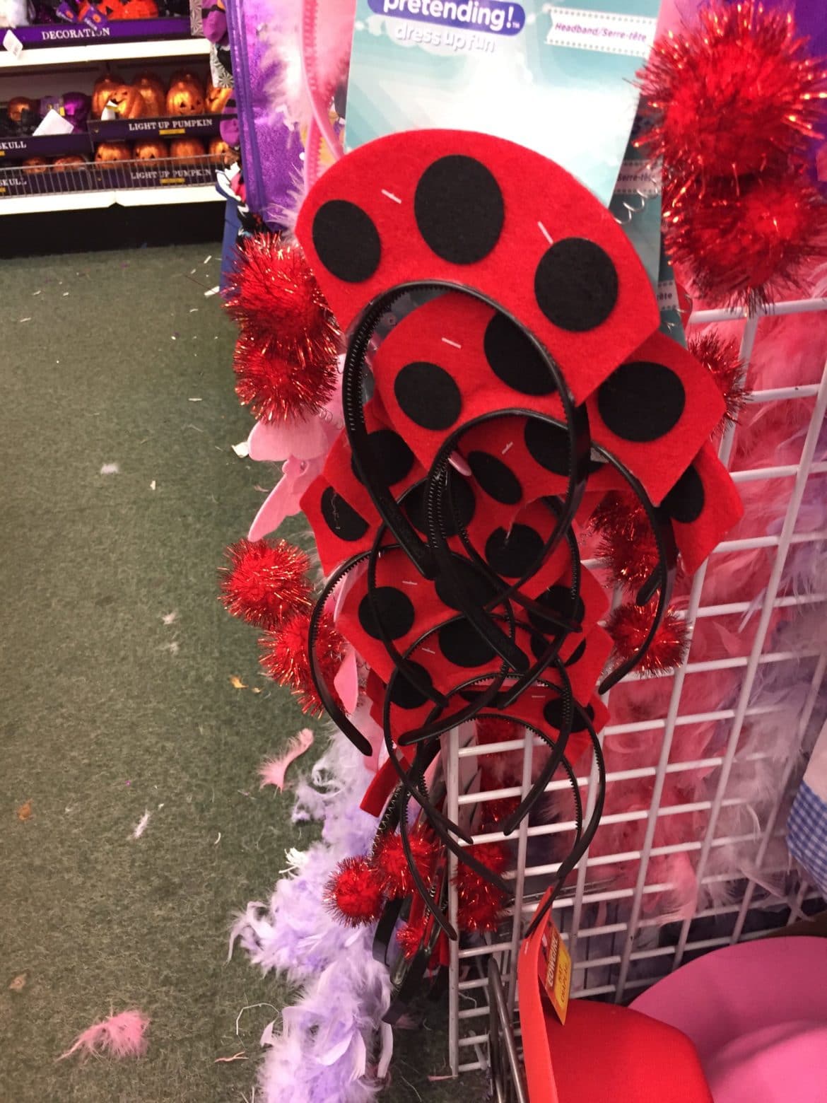 Lady Bug Costume