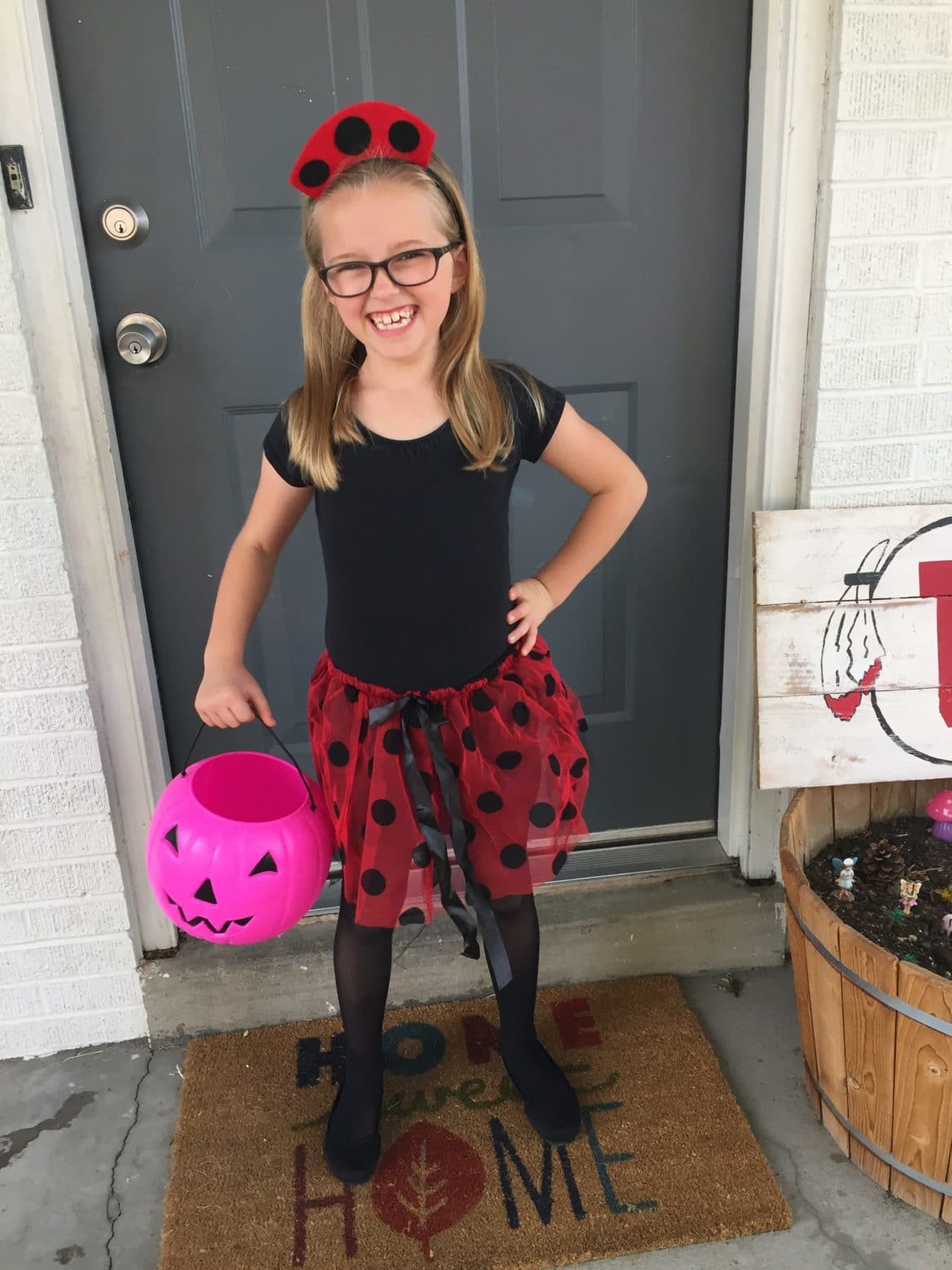 Lady bug costume